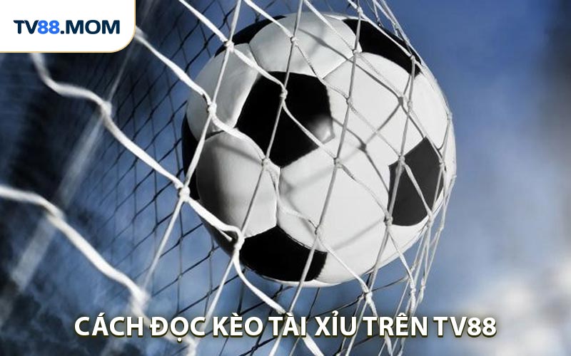 Cách Đọc Kèo Tài Xỉu - Hướng Dẫn Chi Tiết Cho Người Chơi - RIXO.GAMES