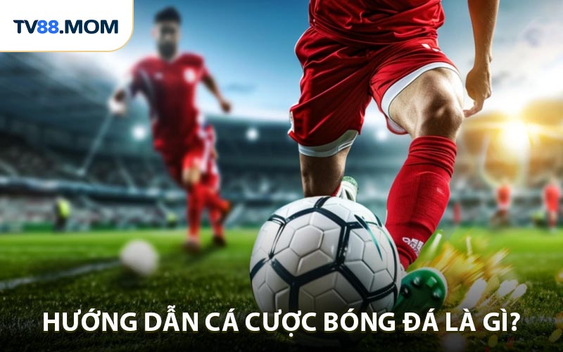 Hướng Dẫn Cá Cược Bóng Đá Trải Nghiệm Thể Thao Hấp Dẫn - RIXO.GAMES