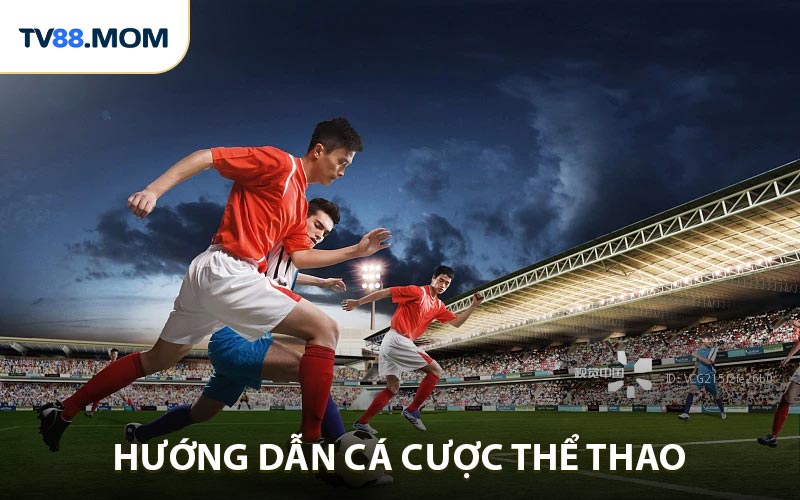 Hướng Dẫn Cá Cược Bóng Đá Trải Nghiệm Thể Thao Hấp Dẫn - RIXO.GAMES