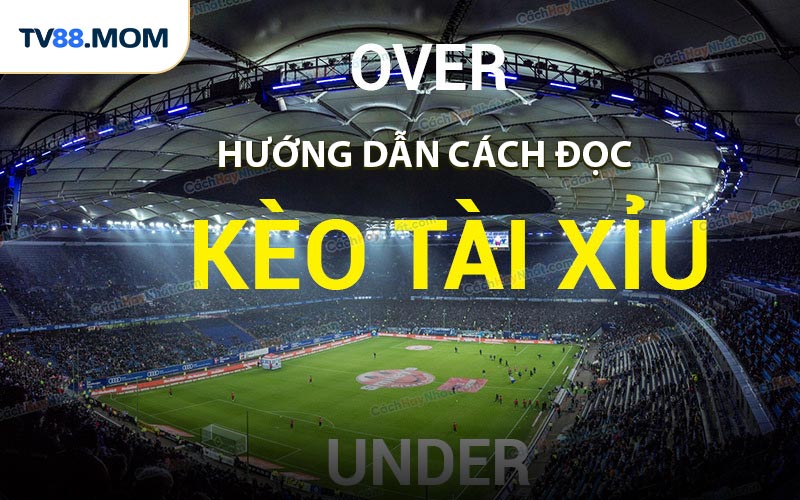 Cách Đọc Kèo Tài Xỉu - Hướng Dẫn Chi Tiết Cho Người Chơi - RIXO.GAMES