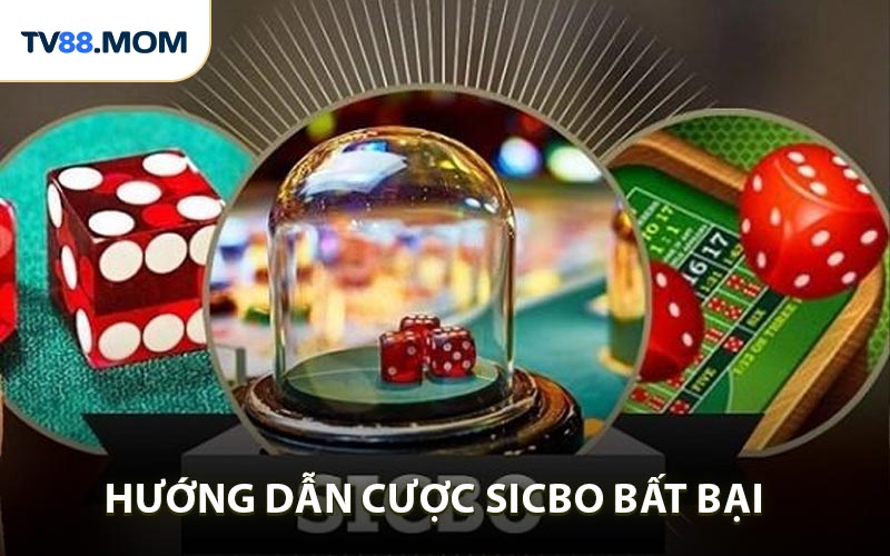 Hướng Dẫn Cược Sicbo Online Đơn Giản Hiểu Thắng Lớn - RIXO.GAMES